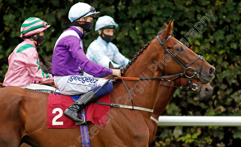 Tribal-Craft-0002 
 TRIBAL CRAFT (David Probert)
Haydock 3 Sep 2020 - Pic Steven Cargill / Racingfotos.com