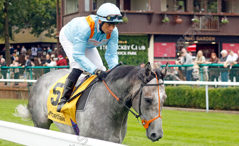 Shouldvebeenaring-0001 
 SHOULDVEBEENARING (Sean Levey)
Haydock 7 Sep 2024 - Pic Steven Cargill / Racingfotos.com