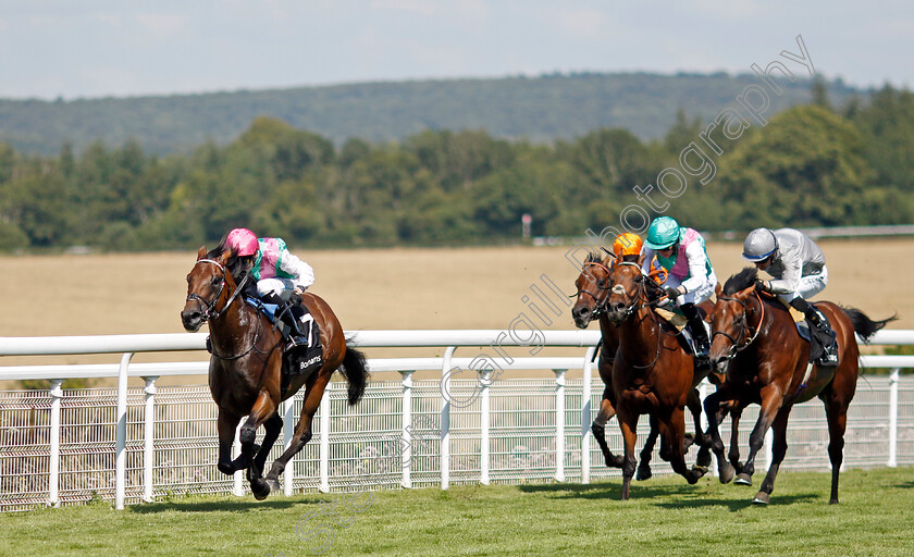 Lead-Artist-0005 
 LEAD ARTIST (Kieran Shoemark) wins The Bonhams Thoroughbred Stakes
Goodwood 2 Aug 2024 - Pic Steven Cargill / Racingfotos.com