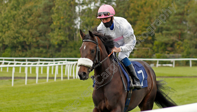 Midnight-Welcome-0001 
 MIDNIGHT WELCOME (Joey Haynes)
Lingfield 7 Sep 2020 - Pic Steven Cargill / Racingfotos.com