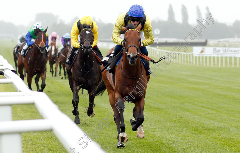 Mottrib-0002 
 MOTTRIB (David Egan) wins The Be Wiser Insurance Novice Stakes
Newbury 13 Jun 2019 - Pic Steven Cargill / Racingfotos.com