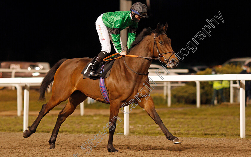 Amber-Island-0001 
 AMBER ISLAND (Rossa Ryan)
Chelmsford 18 Feb 2021 - Pic Steven Cargill / Racingfotos.com