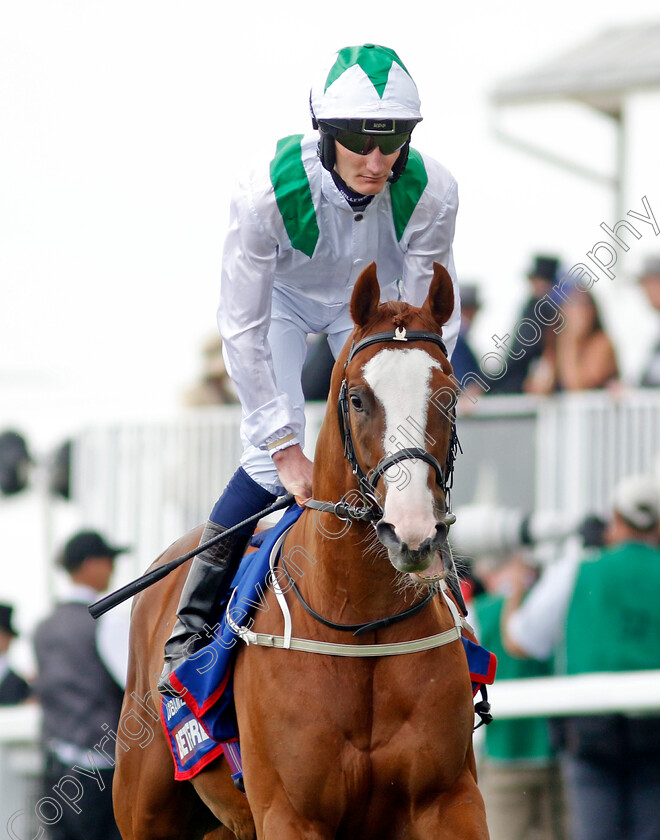 Dubai-Mile-0002 
 DUBAI MILE (Daniel Muscutt)
Epsom 3 Jun 2023 - Pic Steven Cargill / Racingfotos.com