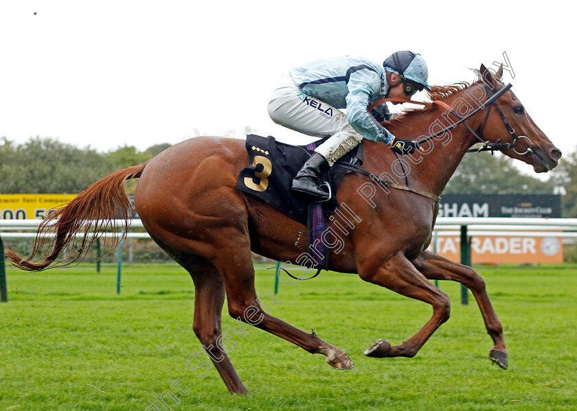 Stressfree-0001 
 STRESSFREE (Jason Watson) wins The Trustatrader Approved And Reviewed Trades People Handicap
Nottingham 11 Oct 2023 - Pic Steven Cargill / Racingfotos.com