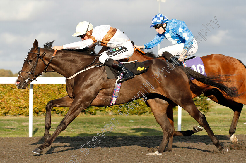 Dream-Catching-0006 
 DREAM CATCHING (Jason Watson) wins The 32Red On The App Store Handicap
Kempton 18 Sep 2018 - Pic Steven Cargill / Racingfotos.com