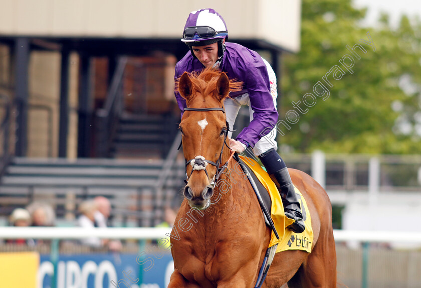 Sir-Rumi 
 SIR RUMI (Rossa Ryan)
Newmarket 1 May 2022 - Pic Steven Cargill / Racingfotos.com