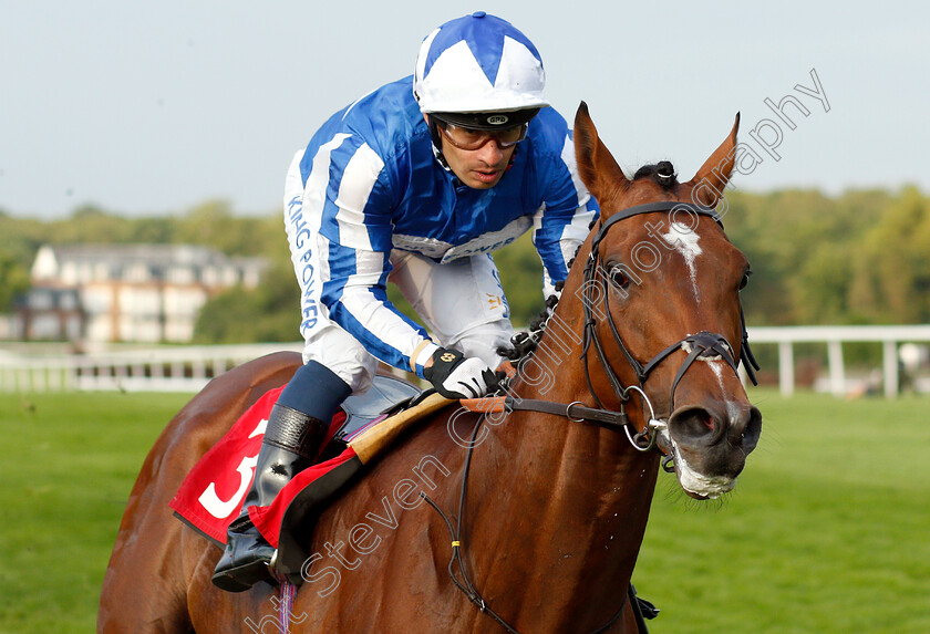 Fox-Premier-0005 
 FOX PREMIER (Silvestre De Sousa) wins The Call Star Sports On 08000 521 321 Handicap
Sandown 30 May 2019 - Pic Steven Cargill / Racingfotos.com