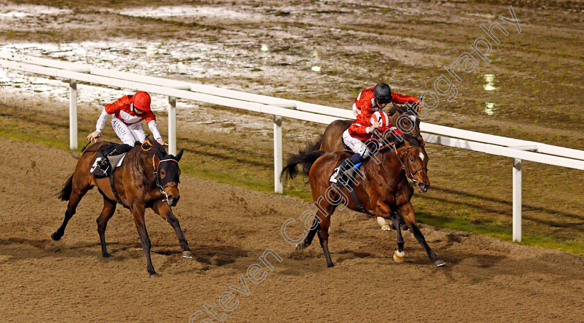 La-Tihaty-0007 
 LA TIHATY (Cameron Noble) beats ROGUE FORCE (left) in The Support The Injured Jockeys Fund Novice Stakes
Chelmsford 22 Jan 2021 - Pic Steven Cargill / Racingfotos.com