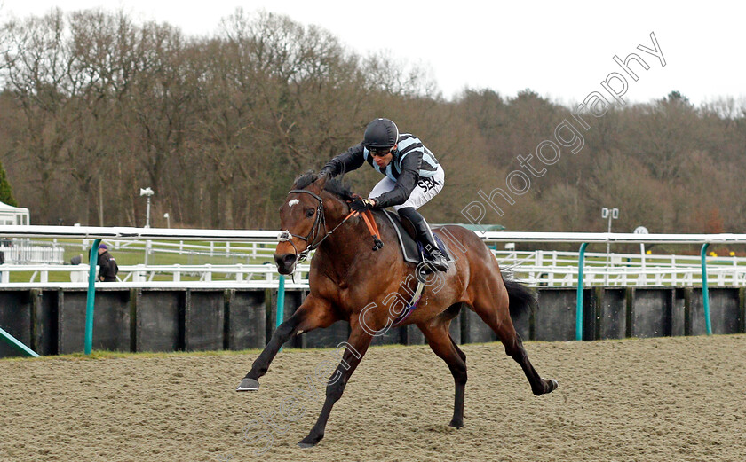 Fancy-Man-0005 
 FANCY MAN (Sean Levey) wins The Betway Winter Derby Trial Stakes
Lingfield 5 Feb 2022 - Pic Steven Cargill / Racingfotos.com