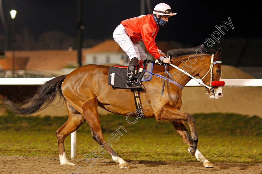 Sweet-Candy-Dale-0002 
 SWEET CANDY DALE (Levi Williams)
Chelmsford 22 Jan 2021 - Pic Steven Cargill / Racingfotos.com