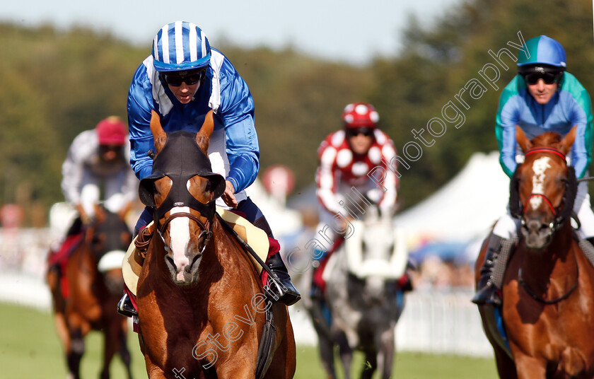 Muraaqib-0006 
 MURAAQIB (Jim Crowley) wins The Qatar International Stakes
Goodwood 1 Aug 2018 - Pic Steven Cargill / Racingfotos.com