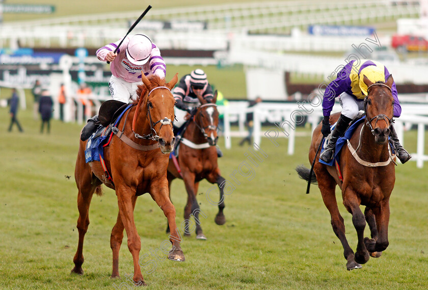 Bleu-Berry-0003 
 BLEU BERRY (right, Mark Walsh) beats TOPOFTHEGAME (left) in The Coral Cup Cheltenham 14 Mar 2018 - Pic Steven Cargill / Racingfotos.com