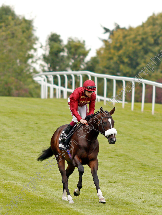 Kameko-0001 
 KAMEKO (Oisin Murphy)
Sandown 31 Aug 2019 - Pic Steven Cargill / Racingfotos.com