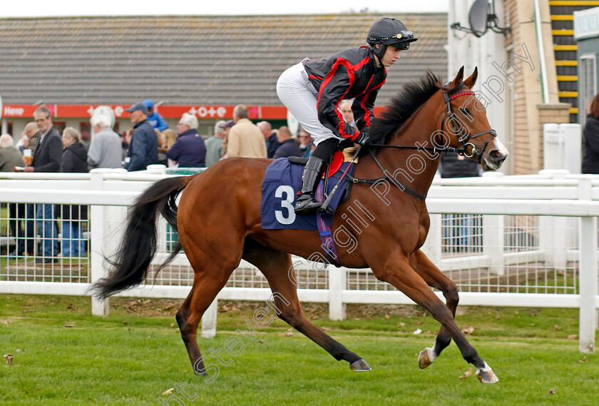 Bacor-0001 
 BACOR (Grace McEntee)
Yarmouth 22 Oct 2024 - Pic Steven Cargill / Racingfotos.com