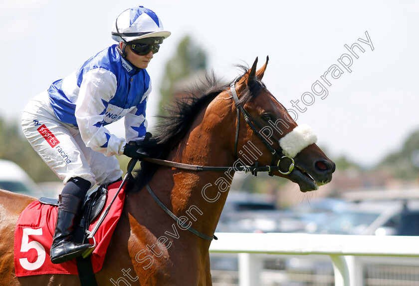 Sergeant-Wilko-0001 
 SERGEANT WILKO (Hollie Doyle)
Sandown 7 Jul 2023 - Pic Steven Cargill / Racingfotos.com