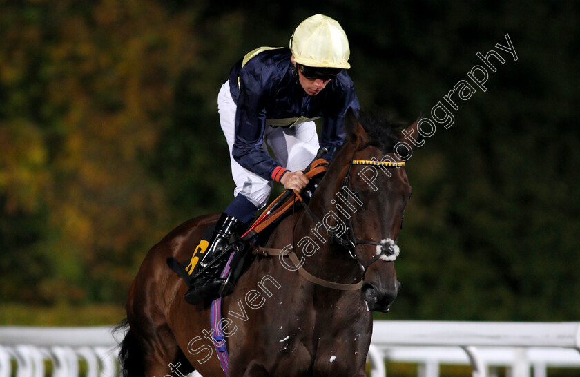 Ply-0001 
 PLY (Kieran Shoemark) winner of The 100% Profit Boost At 32Redsport.com Handicap Kempton 4 Oct 2017 - Pic Steven Cargill / Racingfotos.com