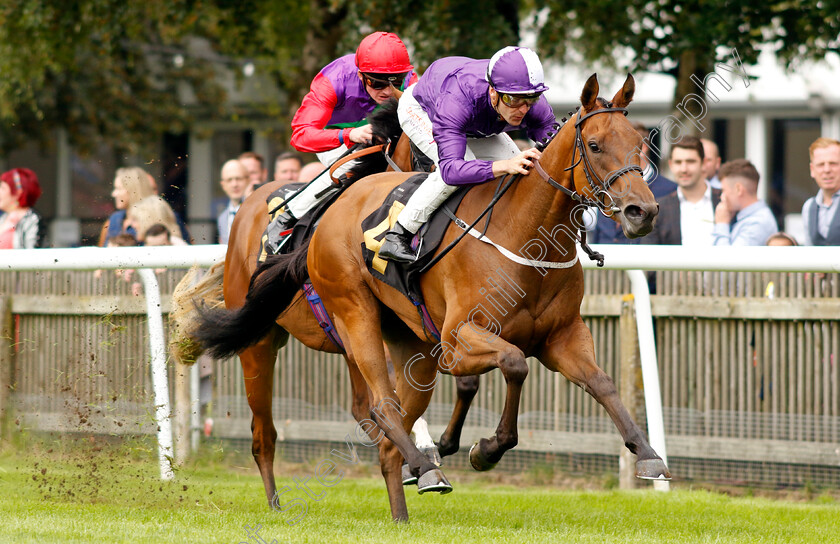 Flaccianello-0003 
 FLACCIANELLO (Kevin Stott) wins The British EBF Fillies Nursery
Newmarket 5 Aug 2023 - Pic Steven Cargill / Racingfotos.com