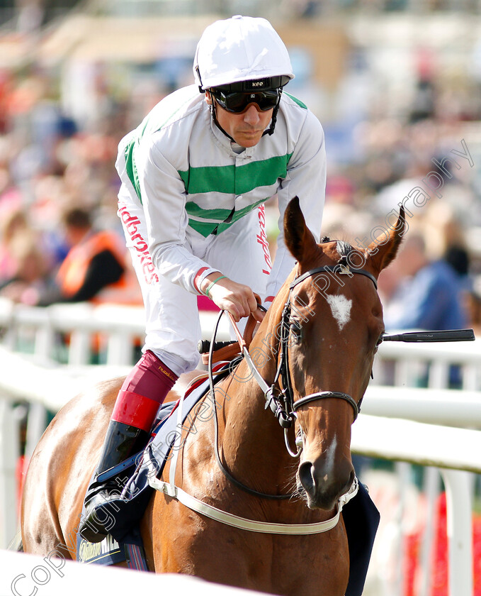 Accordance-0001 
 ACCORDANCE (Frankie Dettori)
Doncaster 13 Sep 2018 - Pic Steven Cargill / Racingfotos.com