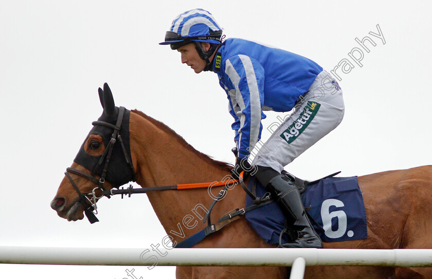 Looks-Like-Power-0001 
 LOOKS LIKE POWER (Tom Bellamy)
Chepstow 7 Dec 2019 - Pic Steven Cargill / Racingfotos.com