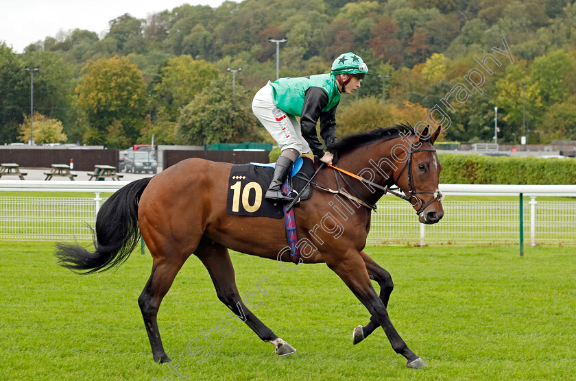 Profit-Street-0001 
 PROFIT STREET (Rowan Scott)
Nottingham 11 Oct 2023 - Pic Steven Cargill / Racingfotos.com