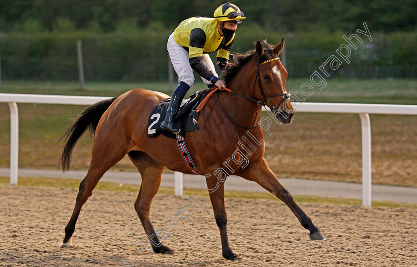 Song-At-Twilight-0003 
 SONG AT TWILIGHT
Chelmsford 29 Apr 2021 - Pic Steven Cargill / Racingfotos.com