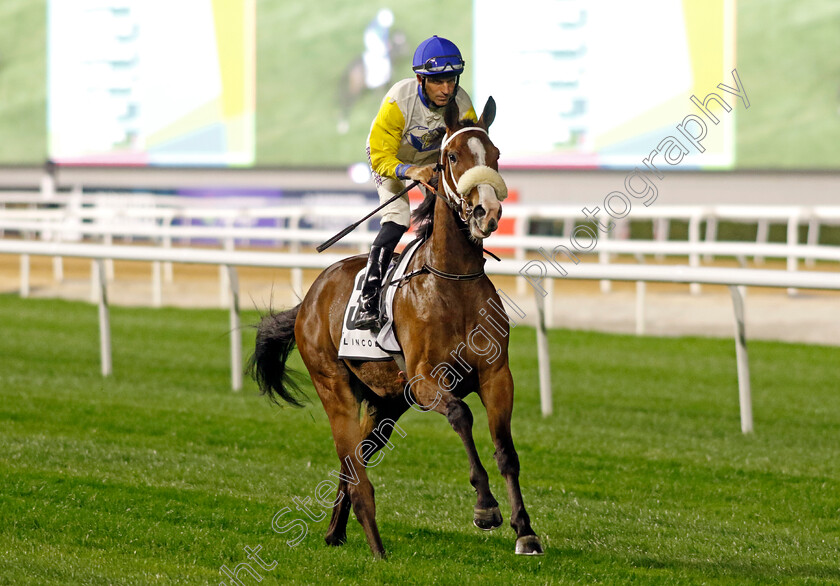 Awesome-Spirit-Gal-0001 
 AWESOME SPIRIT GAL (Pat Dobbs)
Meydan 2 Feb 2024 - Pic Steven Cargill / Racingfotos.com