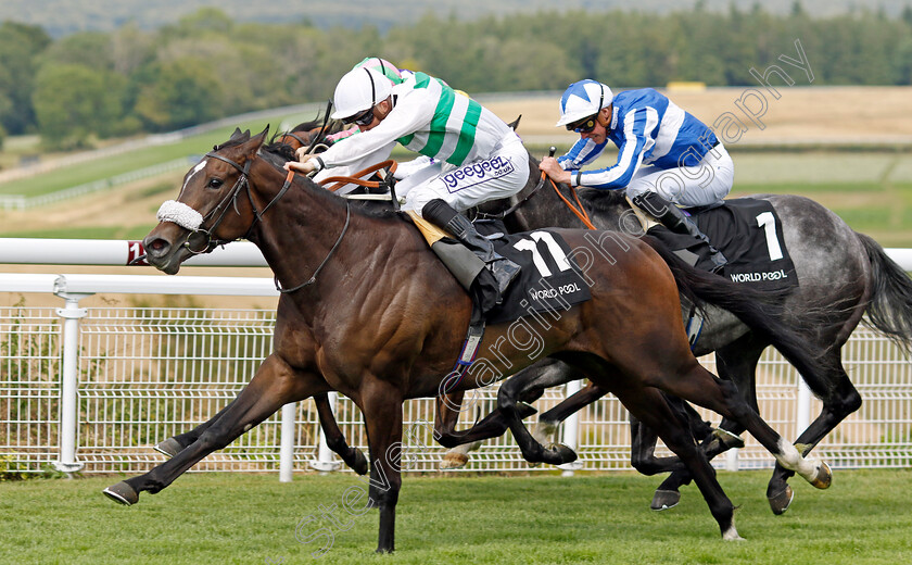 Sandrine-0006 
 SANDRINE (David Probert) wins The World Pool Lennox Stakes
Goodwood 26 Jul 2022 - Pic Steven Cargill / Racingfotos.com