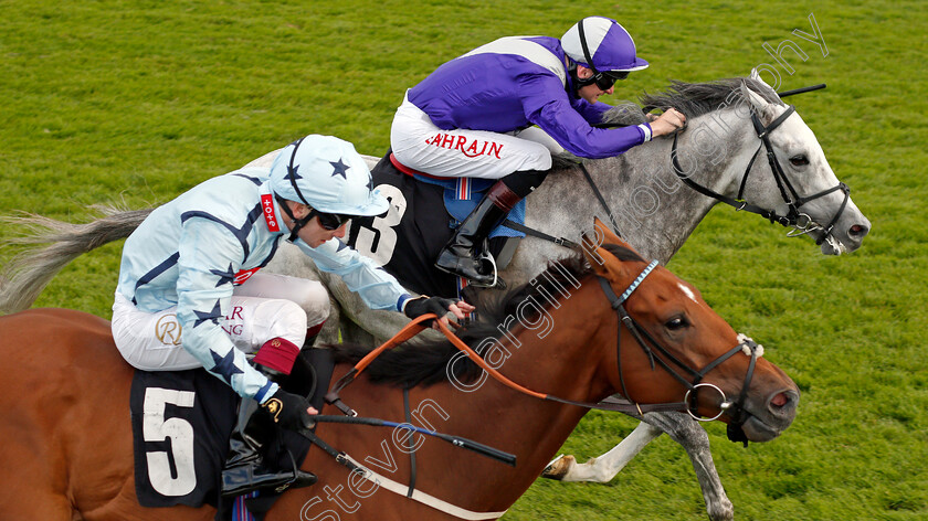 Highland-Rocker-0006 
 HIGHLAND ROCKER (farside, Robert Havlin) beats WITHOUT REVENGE (nearside) in The Chichester City Handicap
Goodwood 29 Aug 2021 - Pic Steven Cargill / Racingfotos.com