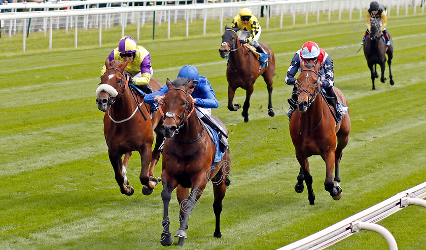 Harry-Angel-0004 
 HARRY ANGEL (Adam Kirby) beats BRANDO (left) and SIR DANCEALOT (right) in The Duke Of York Stakes York 16 May 2018 - Pic Steven Cargill / Racingfotos.com