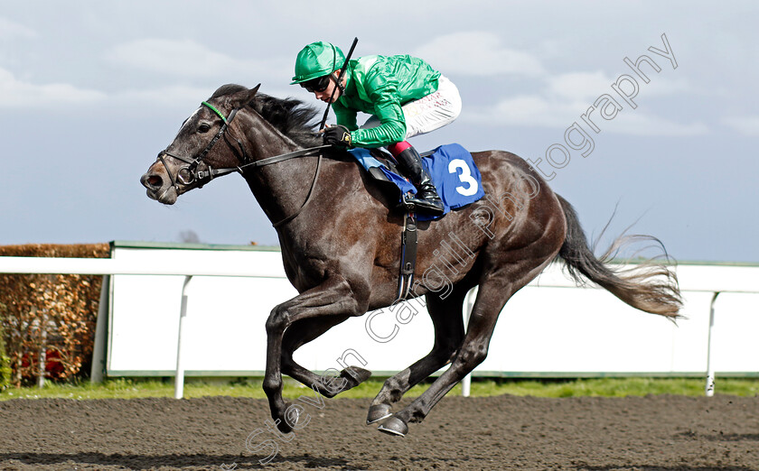 Running-Lion-0002 
 RUNNING LION (Oisin Murphy) wins The Racing TV Fillies Conditions Stakes
Kempton 10 Apr 2023 - Pic Steven Cargill / Racingfotos.com