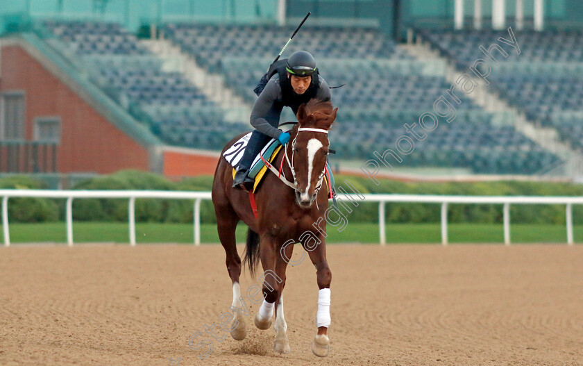 Simjangui-Godong-0001 
 SIMJANGUI GODONG training at the Dubai Racing Carnival for Korea
Meydan 4 Jan 2024 - Pic Steven Cargill / Racingfotos.com