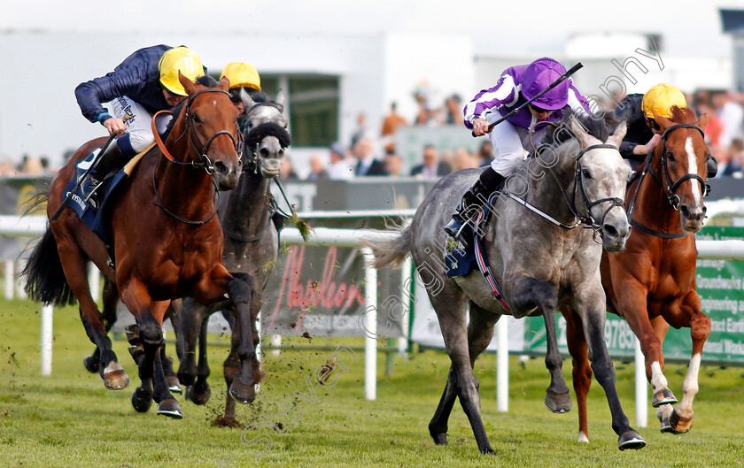 Capri-0007 
 CAPRI (centre, Ryan Moore) beats CRYSTAL OCEAN (left) and STRADIVARIUS (right) in The William Hill St Leger Doncaster 16 Sep 2017 - Pic Steven Cargill / Racingfotos.com