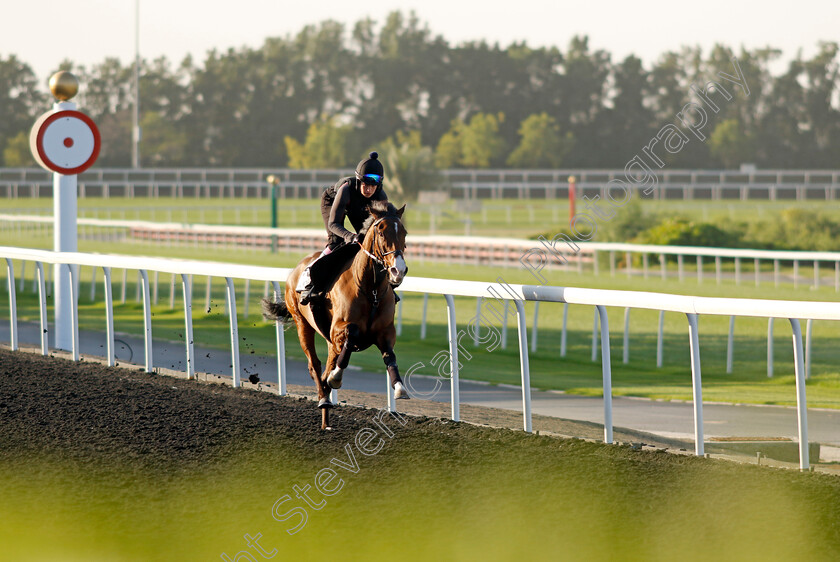 Magical-Morning-0003 
 MAGICAL MORNING training at the Dubai World Cup Carnival
Meydan 5 Jan 2023 - Pic Steven Cargill / Racingfotos.com