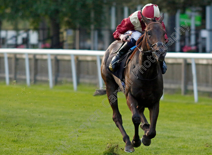 Bint-Al-Daar-0002 
 BINT AL DAAR (Daniel Muscutt) wins The Every Race Live On Racing TV Handicap
Newmarket 4 Aug 2023 - Pic Steven Cargill / Racingfotos.com