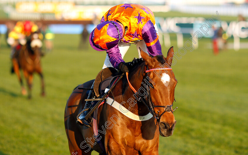 First-Assignment-0007 
 FIRST ASSIGNMENT (Tom O'Brien) wins The Regulatory Finance Solutions Handicap Hurdle
Cheltenham 17 Nov 2018 - Pic Steven Cargill / Racingfotos.com