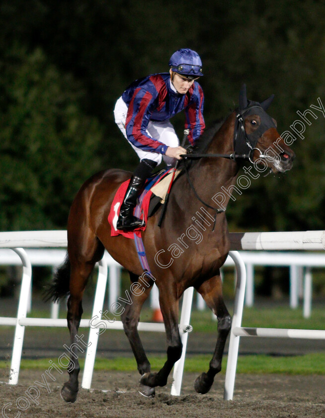 Spanish-Archer-0001 
 SPANISH ARCHER (Daniel Muscutt)
Kempton 27 Sep 2018 - Pic Steven Cargill / Racingfotos.com