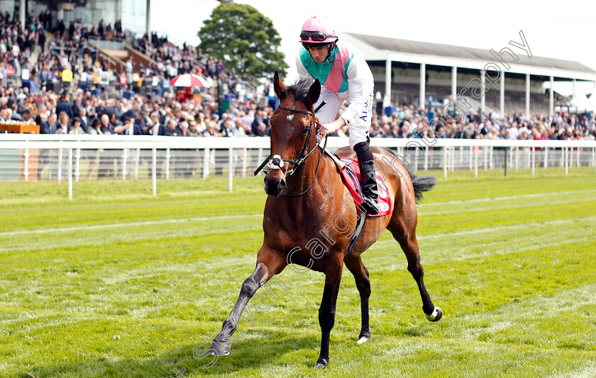 Mori-0002 
 MORI (Ryan Moore)
York 17 May 2018 - Pic Steven Cargill / Racingfotos.com