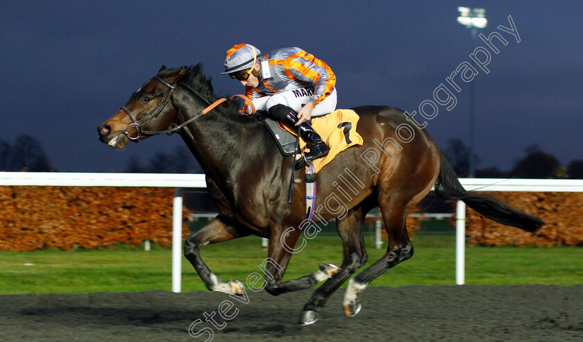 Venture-0002 
 VENTURE (Tom Marquand) wins The Bet At racingtv.com Novice Stakes
Kempton 27 Nov 2019 - Pic Steven Cargill / Racingfotos.com