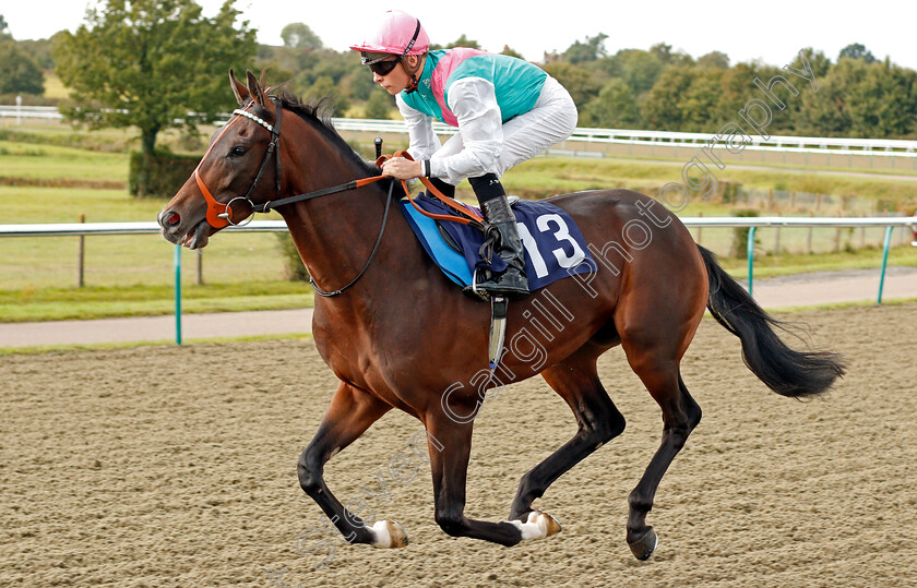 Transition-0001 
 TRANSITION (Jason Watson)
Lingfield 3 Oct 2019 - Pic Steven Cargill / Racingfotos.com