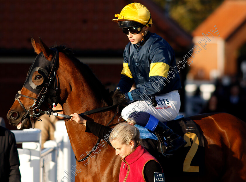 Morning-Poem-0001 
 MORNING POEM (Benoit de la Sayette)
Newmarket 25 Oct 2023 - Pic Steven Cargill / Racingfotos.com