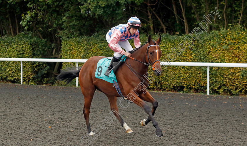 Packetofbiscuits-0001 
 PACKETOFBISCUITS (Luke Morris)
Kempton 2 Oct 2024 - pic Steven Cargill / Racingfotos.com