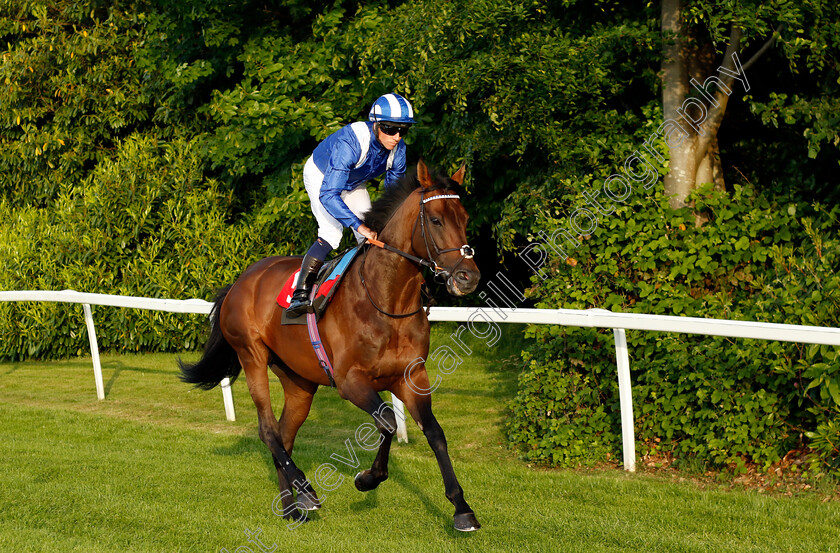 Hukum-0007 
 HUKUM (Jim Crowley) winner of The Racehorse Lotto Brigadier Gerard Stakes
Sandown 25 May 2023 - Pic Steven Cargill / Racingfotos.com