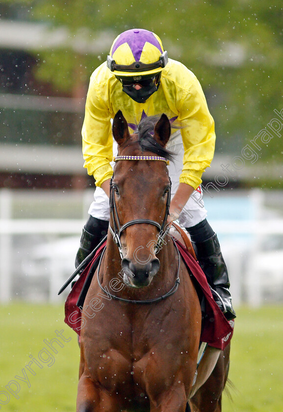 My-Oberon-0001 
 MY OBERON (Tom Marquand)
Newbury 15 May 2021 - Pic Steven Cargill / Racingfotos.com