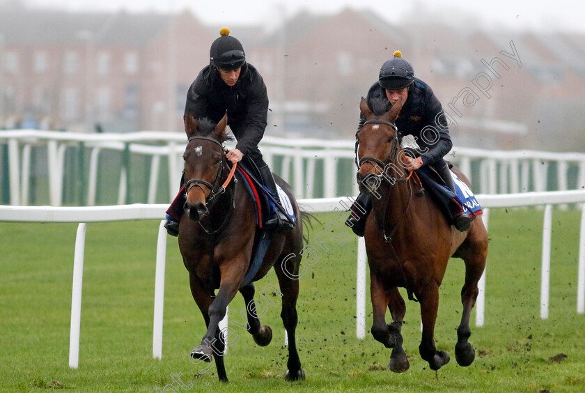 Datsalrightgino-and-Ga-Law-0002 
 DATSALRIGHTGINO (left, Gavin Sheehan) wirh GA LAW (right, Will Featherstone)
Coral Gold Cup Gallops Morning
Newbury 21 Nov 2023 - Pic Steven Cargill / Racingfotos.com