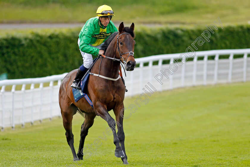 Maksud-0001 
 MAKSUD (Jim Crowley)
Goodwood 20 May 2022 - Pic Steven Cargill / Racingfotos.com