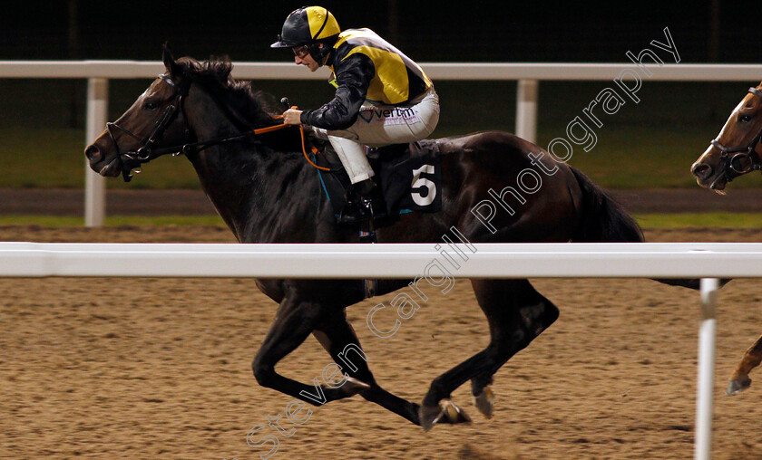 Human-Nature-0003 
 HUMAN NATURE (P J McDonald) wins The Extra Places At totesport.com Handicap
Chelmsford 24 Oct 2019 - Pic Steven Cargill / Racingfotos.com