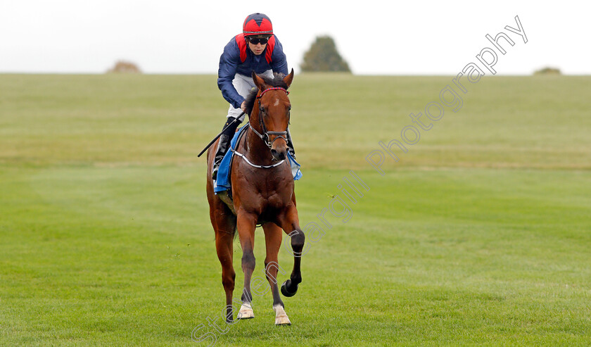 Twilight-Jet-0009 
 TWILIGHT JET (L F Roche) winner of The Newmarket Academy Godolphin Beacon Project Cornwallis Stakes
Newmarket 8 Oct 2021 - Pic Steven Cargill / Racingfotos.com