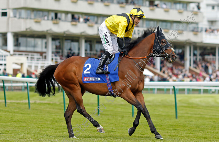 Bless-Him-0001 
 BLESS HIM (Jamie Spencer)
Haydock 8 Jun 2024 - Pic Steven Cargill / Racingfotos.com