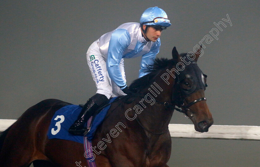 Come-Musica-0001 
 COME MUSICA (Stefano Cherchi)
Kempton 16 Dec 2022 - Pic Steven Cargill / Racingfotos.com