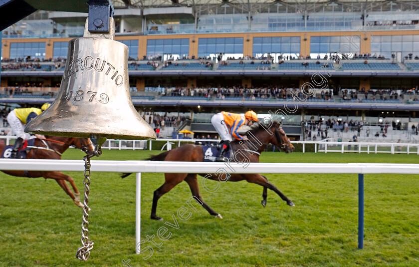 Torcedor-0002 
 TORCEDOR (Colm O'Donoghue) wins The Longines Sagaro Stakes Ascot 2 May 2018 - Pic Steven Cargill / Racingfotos.com